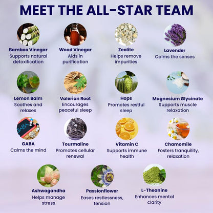 GOOD NIGHT DETOX FOOT PATCH